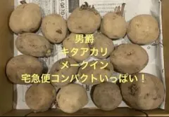 Rino様 リクエスト 2点 まとめ商品