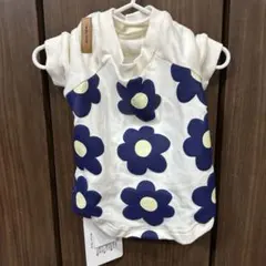 Item thumbnail for item 50b74897-fbd1-415d-b75f-a69ccf576718