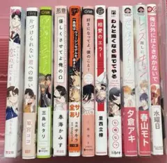 ボーイズラブ漫画セット