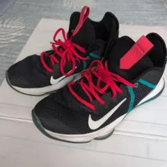 2025年最新】レブロンウィットネスの人気アイテム - メルカリ