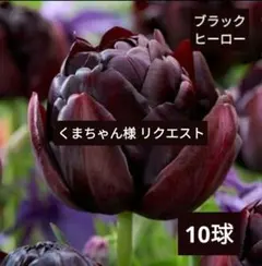 くまちゃん様 リクエスト 4点 まとめ商品