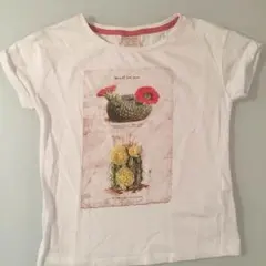 美品✳︎ザラ✳︎Tシャツ116cm