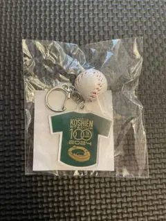 2025年最新】甲子園100周年 ボールの人気アイテム - メルカリ