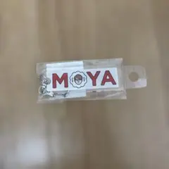 モヤさま プレゼント 当選 金のモヤ袋 モヤモヤさまぁ〜ず2 御守り