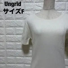 Ungrid 白 リブ編み半袖ニット F 春夏トレンド カジュアル【1985】のサムネイル