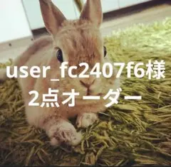 user_fc2407f6様　2点オーダー専用ページ