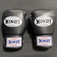 WINDY ウィンディ ボクシンググローブ 8oz 美品のサムネイル