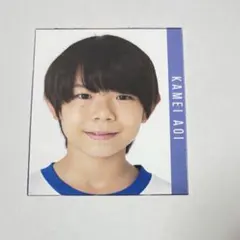 Myojo 明星 デタカ 厚紙 データカード カード 亀井碧空