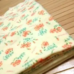 Item thumbnail for item 2e2b15cf-23c4-468b-a918-6b50ebe61647