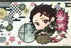 鬼滅の刃 アニメガ ソフマップ 特典 誕生花 ポストカード 竈門炭治郎