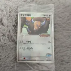 ポケパーク　ケンタロス　未開封　プロモ