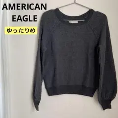 アメリカンイーグル レディース スウェット トレーナー グレー　ゆったり