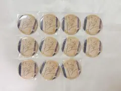 にじさんじ VOLTACTION 風楽奏斗 誕生日 BD サイン缶バッジ