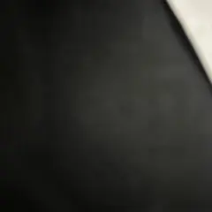専用品