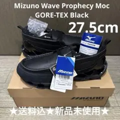 Mizuno Wave Prophecy Moc GORE-TEX 27.5cm
