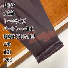 付下げ 大島紬 パールトーン加工 トールサイズ 正絹 t262