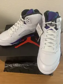 Air Jordan 5 grape 28.0