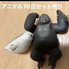 アニマルフィギュア 10匹セット　フィギュア 動物　セット売り　ガチャガチャ