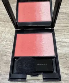 Item thumbnail for item 9f14f223-d6a1-459f-a390-0025a5198ce5