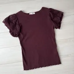 クチュールブローチ　半袖　袖レース　裾フリルリブニット　Tシャツ