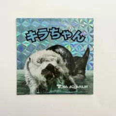 鳥羽水族館 ラッコ キラちゃん ステッカー シール ブルー