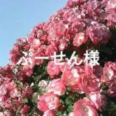 ぷーせん様