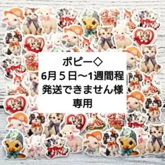 ポピー◇6月５日〜1週間程発送できません様 リクエスト 2点 まとめ商品