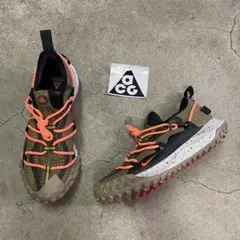 Nike ACG Mountain Fly Low GTX SE 29㎝のサムネイル