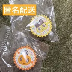 ポケモン 宝石ホログラム缶バッジ 限定品 パピモッチ 3個 - メルカリ