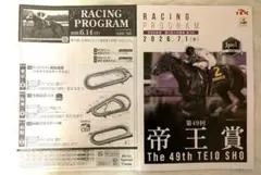 2026年最新】年 レーシングプログラムの人気アイテム - メルカリ