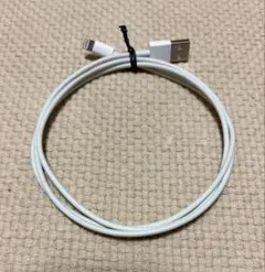 【限定】Apple純正 充電ケーブル USB-タイプA to Lightning