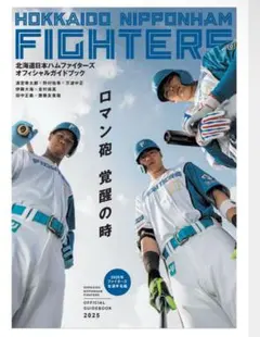 匿名即日発送　水谷瞬　SUPER LLIC FIGHTERS 新品 2025年最新】水谷瞬 spの人気アイテム - メルカリ