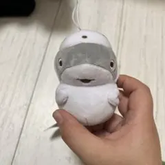 Item thumbnail for item 0e21f674-727c-466f-aecf-0605ddb42cfa