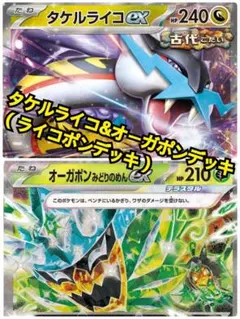 タケルライコexデッキ（ライコポンデッキ）