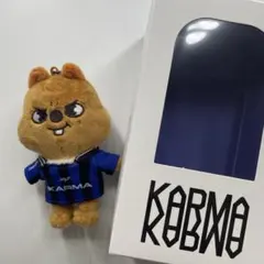 straykids karma skzoo ハンクオッカ ぬいぐるみ チャーム - メルカリ