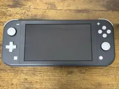Nintendo Switch Lite グレー 本体 ゲームカード付き