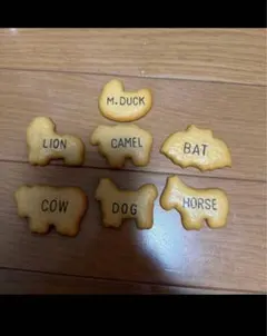 Item thumbnail for item 65977a2a-2469-477a-a591-6f5004eda051