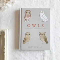 洋書❀愛らしいフクロウのアートブック Matt Sewell