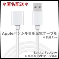 アップルペンシル Apple pencil 第1世代 充電 ケーブル 充電器