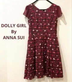 アナスイ　DOLLY GIRL ANNA SUI 花刺繍　膝丈ワンピース