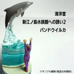 海洋堂、松村氏の食玩フィギュアセット。１ 2025年最新】松村しのぶの人気アイテム - メルカリ