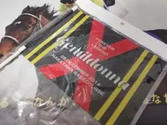 競馬.ジェンティルドンナ.フラッグ.FOREVER THE LEGEND