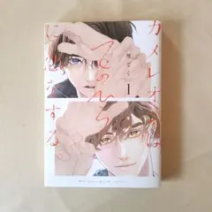 Item thumbnail for item 0e4e20e1-6062-42c0-8de4-e303fb69eee8