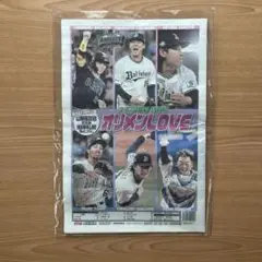 オリックス・バファローズ 記念グッズ