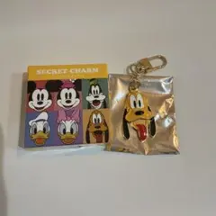 ディズニーストア　シークレットチャーム　プルート