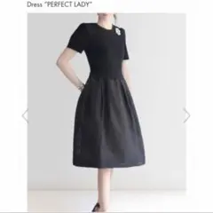 デイジーリンフォクシー パーフェクトレディ ワンピース ドレス 38