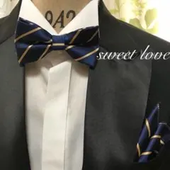 蝶ネクタイ　ポケットチーフ2点セット/ネイビー&ゴールドストライプ C