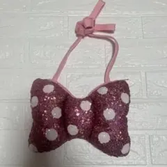 Disney ミニーファンダーランド　パルパルーザ スパーコール　ショルダー