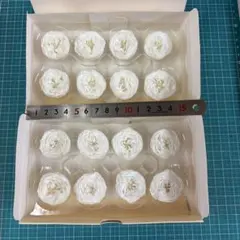 ナナガーデンローズのオフホワイトが2箱 プリザーブドフラワー