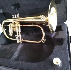 Item thumbnail for item 1db6002d-8b4f-484f-8463-153308135117